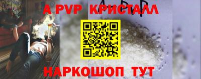 шишки Будённовск