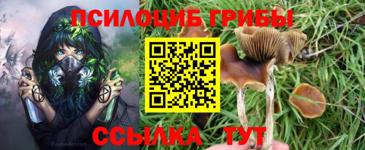 Серов  Псилоцибиновые грибы GOLDEN TEACHER  Вход с VPN  Псилоцибиновые грибы Psilocybine cubensis 